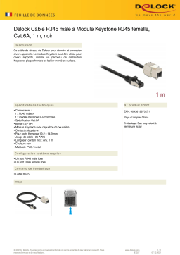 DeLOCK 87027 Cable RJ45 plug to Keystone Module RJ45 jack Cat.6A 1 m black Fiche technique