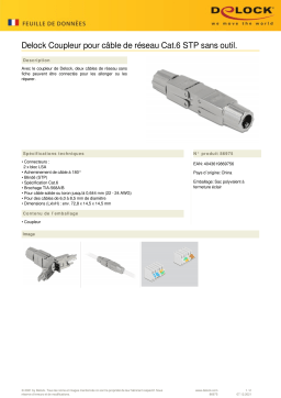 DeLOCK 86975 Coupler for network cable Cat.6 STP toolfree Fiche technique