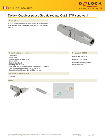 DeLOCK 86975 Coupler for network cable Cat.6 STP toolfree Fiche technique | Fixfr