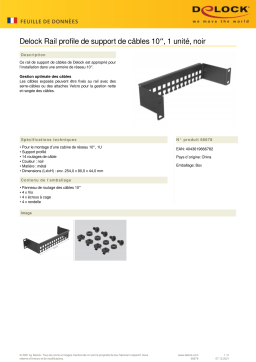 DeLOCK 66678 10″ Cable support rail bracket shape 1U black Fiche technique