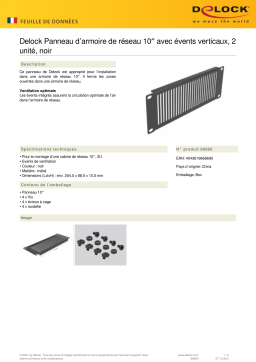 DeLOCK 66669 10″ Network Cabinet Panel Fiche technique