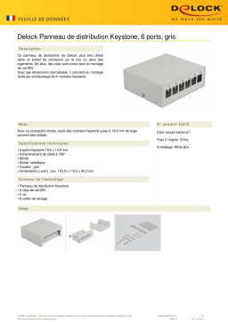 DeLOCK 43410 Keystone Patch Panel 6 Port grey Fiche technique