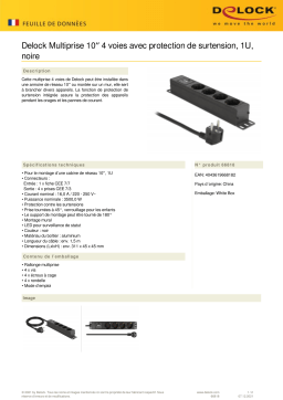 DeLOCK 66818 Power Socket 4-way Fiche technique