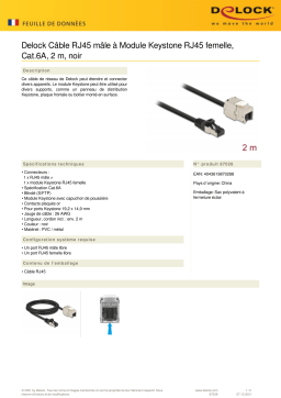 DeLOCK 87028 Cable RJ45 plug to Keystone Module RJ45 jack Cat.6A 2 m black Fiche technique