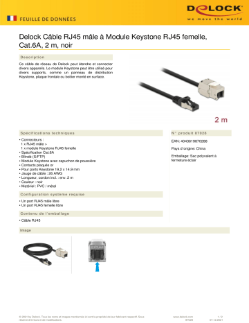 DeLOCK 87028 Cable RJ45 plug to Keystone Module RJ45 jack Cat.6A 2 m black Fiche technique | Fixfr