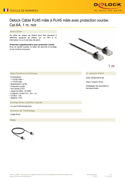 DeLOCK 87016 Cable RJ45 plug to RJ45 plug Fiche technique