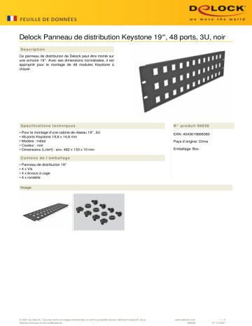 DeLOCK 66838 19″ Keystone Patch Panel 48 port 3U black Fiche technique | Fixfr