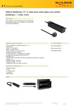 DeLOCK 66817 10″ Power Socket 4-way Fiche technique