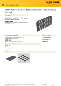 DeLOCK 66841 10″ Network Cabinet Panel Fiche technique