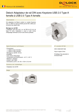 DeLOCK 87163 DIN rail Adapter Fiche technique