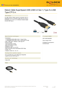 DeLOCK 84006 SuperSpeed USB (USB 3.2 Gen 1) Cable Type-A to USB Type-C™ 3 m Fiche technique