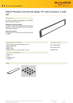 DeLOCK 66675 19″ Network Cabinet Panel Fiche technique