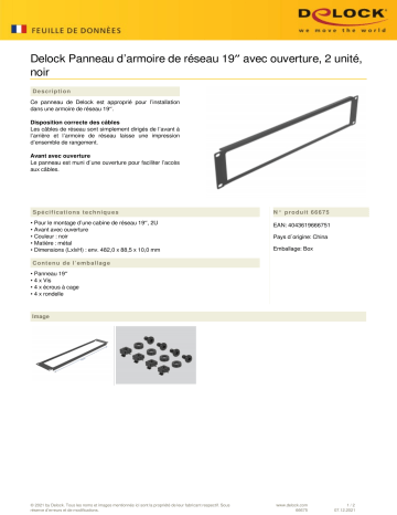 DeLOCK 66675 19″ Network Cabinet Panel Fiche technique | Fixfr