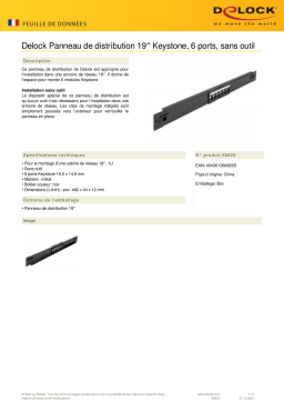 DeLOCK 66820 19″ Keystone Patch Panel 6 Port tool free Fiche technique