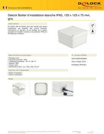 DeLOCK 60398 Installation Housing IP65 waterproof 125 x 125 x 75 mm grey Fiche technique | Fixfr