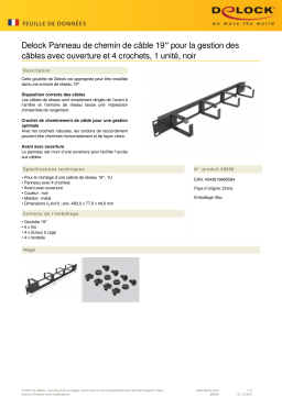 DeLOCK 66658 19″ Cable Management Routing Panel Fiche technique