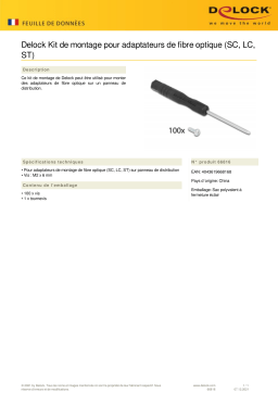 DeLOCK 66816 Mounting Kit for fiber optic adapters (SC, LC, ST) Fiche technique