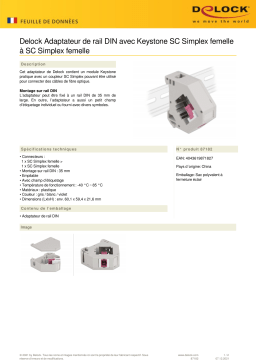 DeLOCK 87182 DIN rail Adapter Fiche technique