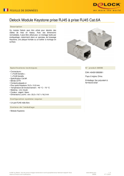 DeLOCK 86996 Keystone Module RJ45 jack to RJ45 jack Cat.6A Fiche technique