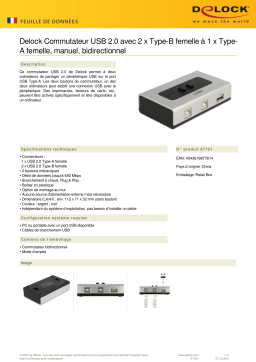 DeLOCK 87761 Switch USB 2.0 Fiche technique