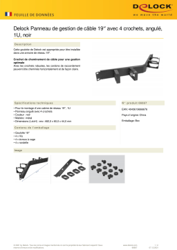 DeLOCK 66667 19″ Cable Management Routing Panel Fiche technique