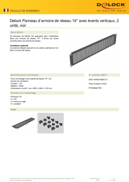 DeLOCK 66671 19″ Network Cabinet Panel Fiche technique