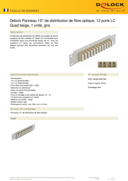 DeLOCK 66798 10″ Fiber Optic Patch Panel 12 Port LC Quad beige 1U grey Fiche technique