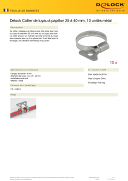 DeLOCK 19579 Butterfly Hose Clamp 25 - 40 mm 10 pieces metal Fiche technique