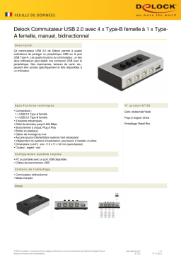 DeLOCK 87763 Switch USB 2.0 Fiche technique