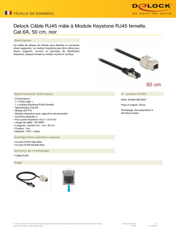 DeLOCK 87025 Cable RJ45 plug to Keystone Module RJ45 jack Cat.6A 50 cm black Fiche technique | Fixfr