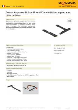 DeLOCK 64134 M.2 Key M to PCIe x16 NVMe Adapter angled Fiche technique