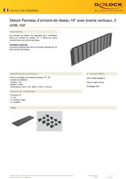 DeLOCK 66681 19″ Network Cabinet Panel Fiche technique