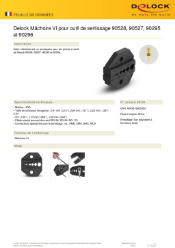 DeLOCK 90535 Ratchet VI for crimping tool 90528, 90527, 90295 und 90296 Fiche technique