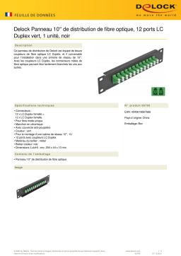 DeLOCK 66766 10″ Fiber Optic Patch Panel 12 Port LC Duplex green 1U black Fiche technique