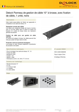 DeLOCK 66845 10″ Cable Management Brush Strip Fiche technique