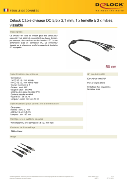 DeLOCK 86572 DC Splitter Cable 5.5 x 2.1 mm 1 x female to 3 x male screwable Fiche technique