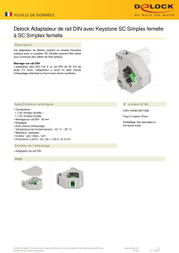 DeLOCK 87165 DIN rail Adapter Fiche technique