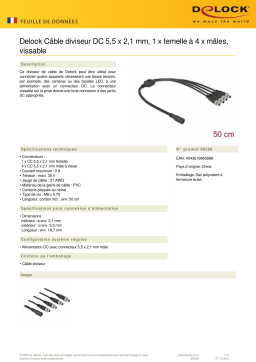DeLOCK 86588 DC Splitter Cable 5.5 x 2.1 mm 1 x female to 4 x male screwable Fiche technique