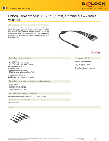 DeLOCK 86588 DC Splitter Cable 5.5 x 2.1 mm 1 x female to 4 x male screwable Fiche technique | Fixfr