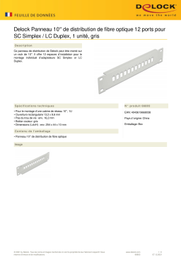 DeLOCK 66803 10″ Fiber Optic Patch Panel 12 Port for SC Simplex / LC Duplex 1U grey Fiche technique