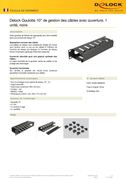 DeLOCK 66843 10″ Cable Management Routing Panel Fiche technique