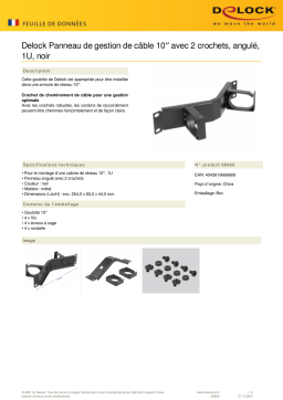 DeLOCK 66666 10″ Cable Management Routing Panel Fiche technique