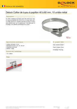 DeLOCK 19581 Butterfly Hose Clamp 40 - 60 mm 10 pieces metal Fiche technique