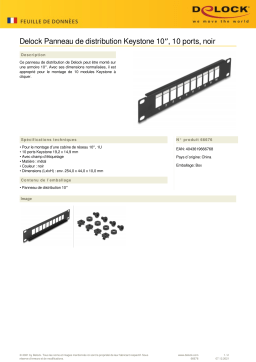 DeLOCK 66676 10″ Keystone Patch Panel 10 port black  Fiche technique