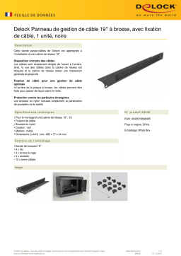 DeLOCK 66846 19″ Cable Management Brush Strip Fiche technique