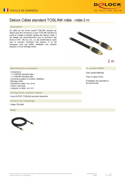 DeLOCK 86593 TOSLINK Standard Cable male - male 2 m Fiche technique