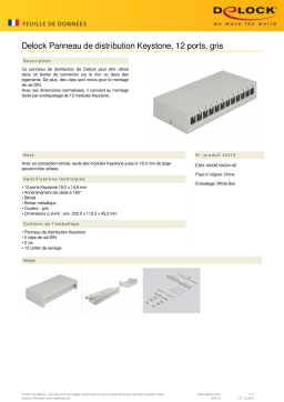 DeLOCK 43414 Keystone Patch Panel 12 Port grey Fiche technique