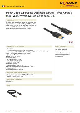 DeLOCK 84019 SuperSpeed USB (USB 3.2 Gen 1) Cable Type-A male to USB Type-C™ male Fiche technique