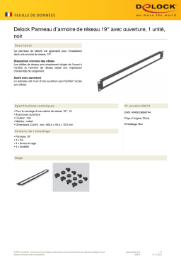 DeLOCK 66674 19″ Network Cabinet Panel Fiche technique