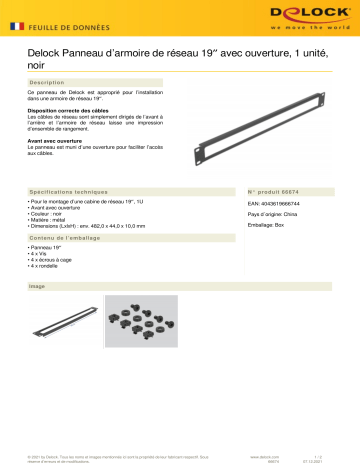 DeLOCK 66674 19″ Network Cabinet Panel Fiche technique | Fixfr